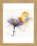 Flowers & Flutters (Framed) -  Sillier than Sally - McGaw Graphics