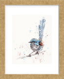 Mischief in the Making (Variegated Fairy Wren) (Framed) -  Sillier than Sally - McGaw Graphics