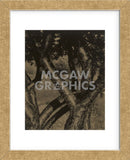 Dancing Trees, 1922 (Framed) -  Alfred Stieglitz - McGaw Graphics