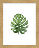 Monstera I (Framed) -  Ann Solo - McGaw Graphics