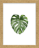 Monstera II (Framed) -  Ann Solo - McGaw Graphics
