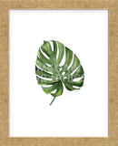 Monstera III (Framed) -  Ann Solo - McGaw Graphics