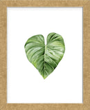 Green Leaf (Framed) -  Ann Solo - McGaw Graphics