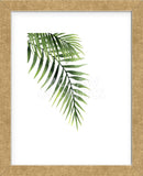 Palm (Framed) -  Ann Solo - McGaw Graphics