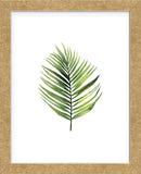 Palm Leaf I (Framed) -  Ann Solo - McGaw Graphics