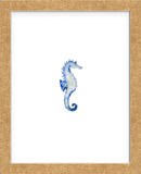 Seahorse (Framed) -  Ann Solo - McGaw Graphics