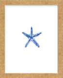 Starfish (Framed) -  Ann Solo - McGaw Graphics