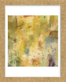 Summer Spectrum (Framed) -  Jeannie Sellmer - McGaw Graphics