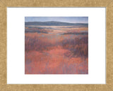 New Mexico Red (Framed) -  Jeannie Sellmer - McGaw Graphics