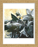 White Lilly (Framed) -  Stacey Wolf - McGaw Graphics