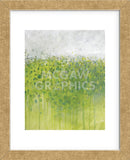 Mist on Green (Framed) -  Jessica Torrant - McGaw Graphics