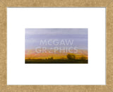 Golden Light on Blue Mountains (Framed) -  Todd Telander - McGaw Graphics