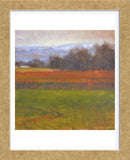 Red Vineyard Near The River I (Framed) -  Todd Telander - McGaw Graphics