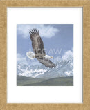 Soaring High (Framed) -  Todd Telander - McGaw Graphics