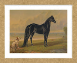 America‚Äôs Renowned Stallions, c. 1876 I (Framed) -  Vintage Reproduction - McGaw Graphics