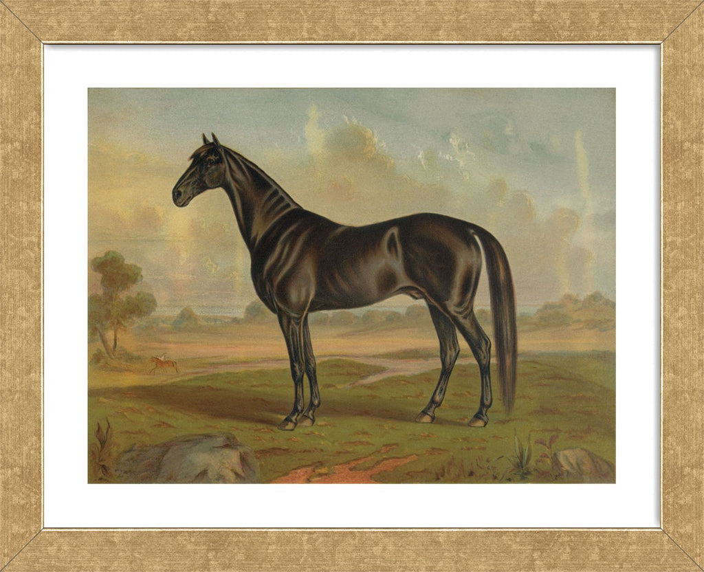 America‚Äôs Renowned Stallions, c. 1876 II (Framed) | McGaw Graphics