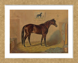 America’s Renowned Stallions, c. 1876 III (Framed) -  Vintage Reproduction - McGaw Graphics