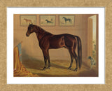 America’s Renowned Stallions, c. 1876 IV (Framed) -  Vintage Reproduction - McGaw Graphics