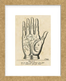 Palmistry: Palm Diagram (Framed) -  Vintage Reproduction - McGaw Graphics