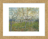 The Pink Orchard, 1888 (Framed) -  Vincent van Gogh - McGaw Graphics