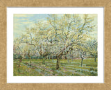 The White Orchard, 1888 (Framed) -  Vincent van Gogh - McGaw Graphics
