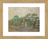 Women Picking Olives, 1889 (Framed) -  Vincent van Gogh - McGaw Graphics