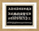 Ornamental French Alphabet (black) (Framed) -  Vintage Reproduction - McGaw Graphics