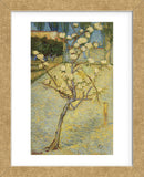 Small Pear Tree in Blossom, 1888 (Framed) -  Vincent van Gogh - McGaw Graphics