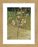 Almond Tree in Blossom, 1888 (Framed) -  Vincent van Gogh - McGaw Graphics
