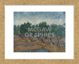Olive Grove, 1889 (Framed) -  Vincent van Gogh - McGaw Graphics