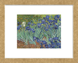 Irises in the Garden  (Framed) -  Vincent van Gogh - McGaw Graphics