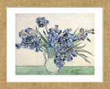 Irises  (Framed) -  Vincent van Gogh - McGaw Graphics