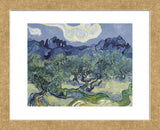 The Olive Trees, 1889  (Framed) -  Vincent van Gogh - McGaw Graphics