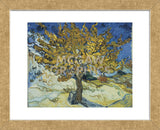 The Mulberry Tree, 1889  (Framed) -  Vincent van Gogh - McGaw Graphics
