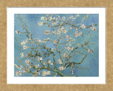 Almond Blossom, 1890 (Framed) -  Vincent van Gogh - McGaw Graphics