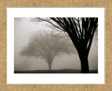 Memories of Winter  (Framed) -  David Lorenz Winston - McGaw Graphics