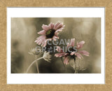 In Perfect Harmony  (Framed) -  David Lorenz Winston - McGaw Graphics