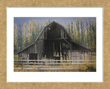 Barn and Poplars (Framed) -  David Lorenz Winston - McGaw Graphics