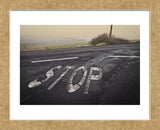 Stop Landscape (Framed) -  David Lorenz Winston - McGaw Graphics