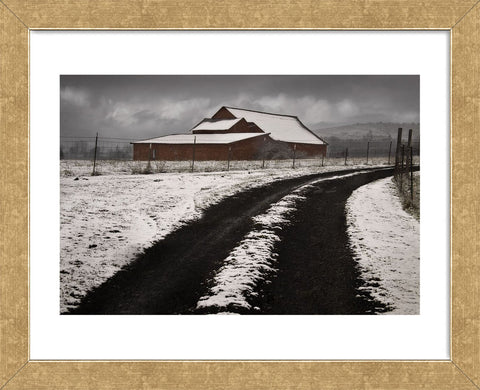 Late Winter Morning (Framed) -  David Lorenz Winston - McGaw Graphics