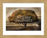 Autumnal Landscape (Framed) -  David Lorenz Winston - McGaw Graphics