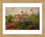 Poppy Garden (Framed) -  David Lorenz Winston - McGaw Graphics