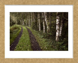 Bay House Drive (Framed) -  David Lorenz Winston - McGaw Graphics