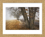 Fall to Winter (Framed) -  David Lorenz Winston - McGaw Graphics