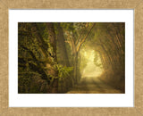 Dream’s Journey (Framed) -  David Lorenz Winston - McGaw Graphics