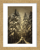 Wagner Creek Snow (Framed) -  David Lorenz Winston - McGaw Graphics