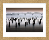 Astoria-Meglar Bridge (Framed) -  Art Wolfe - McGaw Graphics