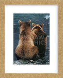 Two Bear Cubs  (Framed) -  Art Wolfe - McGaw Graphics