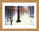 Quiet Woods (Framed) -  David Lorenz Winston - McGaw Graphics