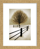 Solitude  (Framed) -  David Lorenz Winston - McGaw Graphics